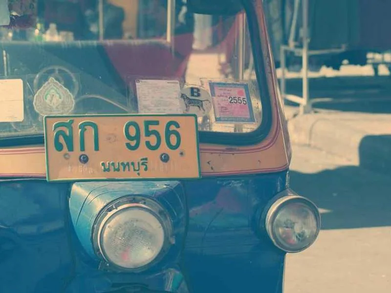 보험보장분석