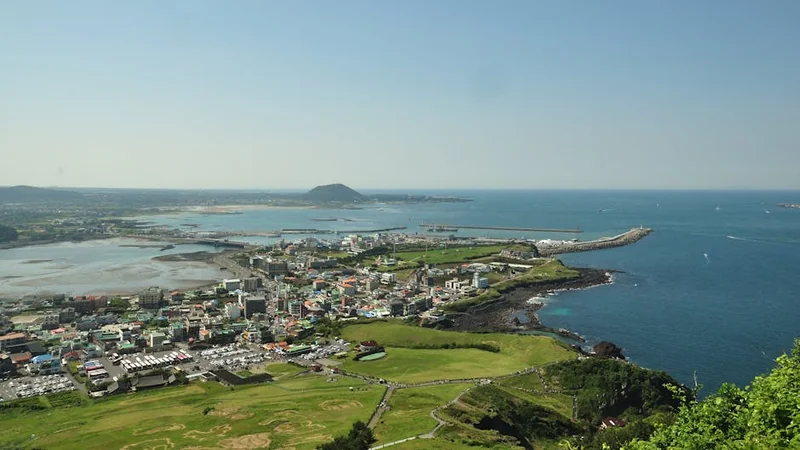 제주도 렌터카 대란