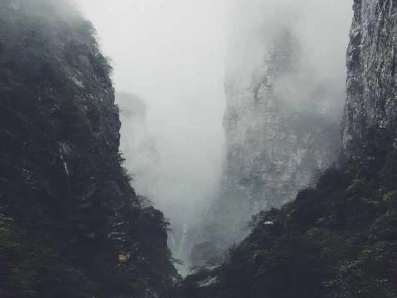 타로전화상담