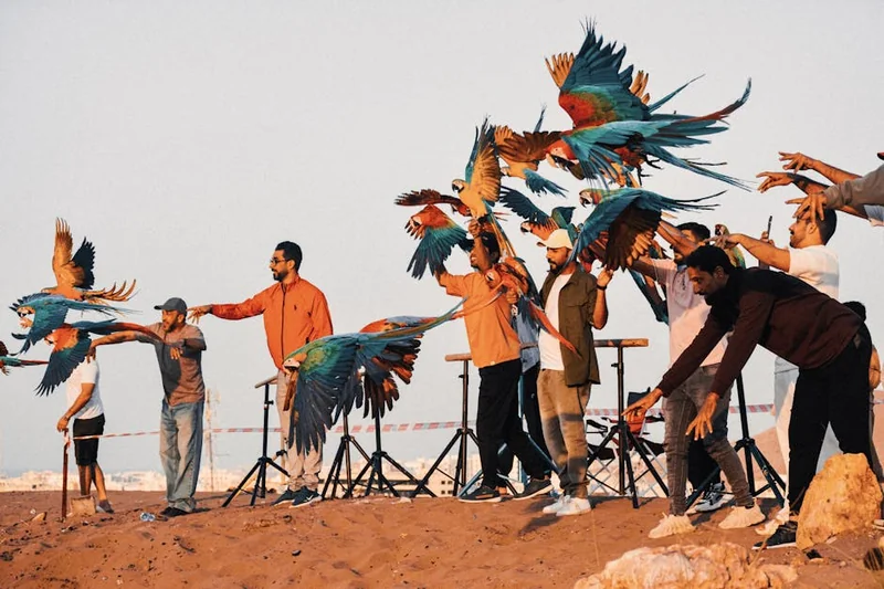 드래곤플라이트2 출시일