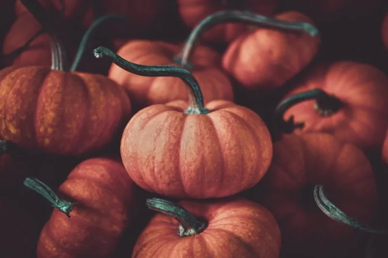 미국증시 휴장일