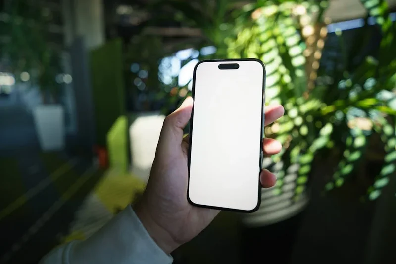 상생페이백 신청기간