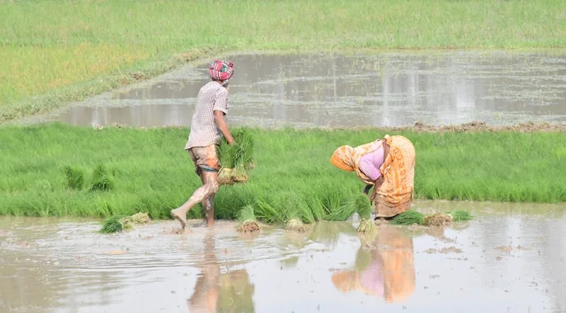 여성근로장려금