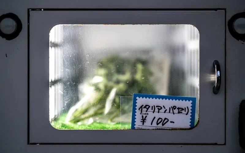 일본 환율 계산기