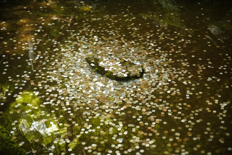 일본 환율 계산기