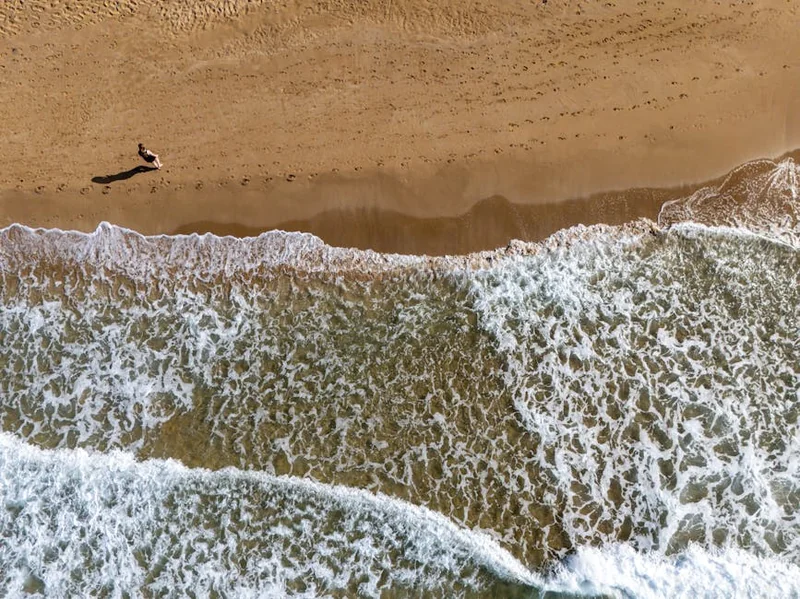 자라 블프 기간 2025