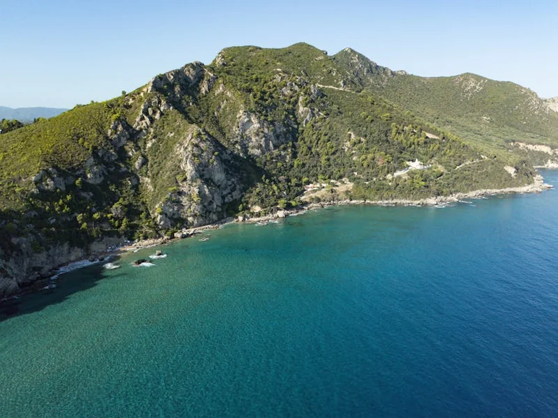 자라 블프 기간 2025