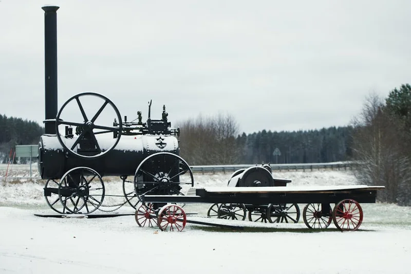 자라 블프 기간 2025