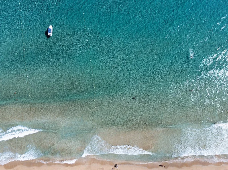 자라 블프 기간 2025