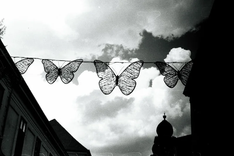 조각도시 드라마 몇부작