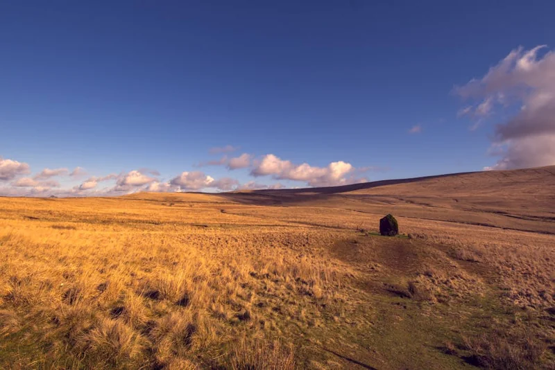 페예노르트 대 셀틱
