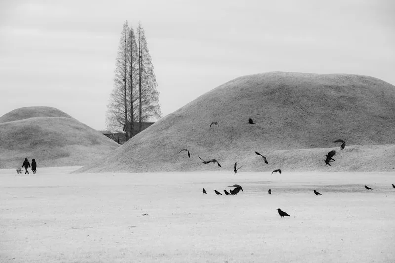 경주 감성숙소 황남관 2026