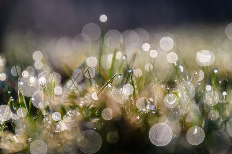 아침 집중력 탄산수