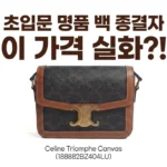 명품 입문백 끝판왕 셀린느 트리옹프 캔버스 188882BZ404LU, 이 가격 실화?